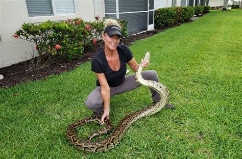 ‘For the thrill’: Huntress aiming to educate Florida residents on pythons’ impact to ecosystem